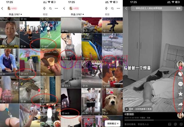 图片[2]-【网赚项目】抖音最新双图文卡模板转移技能，安卓苹果通用，百万千万播映嘎嘎爆-吾图资源网