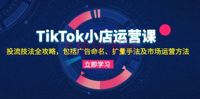 【跨境电商】TikTok小店运营课：投流技法全攻略，包含广告命名 扩量办法及商场运营办法 - 跨境电商 - TikTok小店, TikTok电商-飞猪资源网