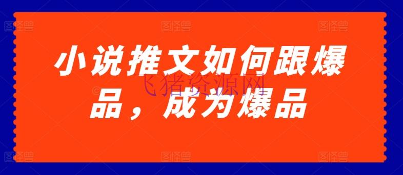 【网赚项目】小说推文怎么跟爆品，成为爆品【揭秘】 - 网赚项目 - 小说推文, 网赚项目-飞猪资源网