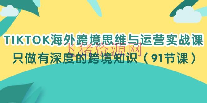 【跨境电商】TIKTOK海外跨境思想与运营实战课，只做有深度的跨境常识（91节课） - 跨境电商 - tiktok-飞猪资源网