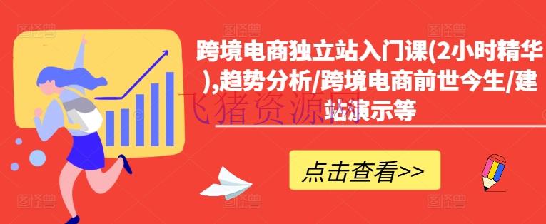 【跨境电商】跨境电商独立站入门课(2小时精华),趋势剖析/跨境电商宿世此生/建站演示等 - 跨境电商 - 独立站-飞猪资源网