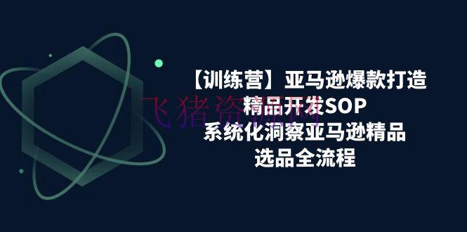 【跨境电商】亚马逊爆款打造之精品开发SOP训练营，系统化洞悉亚马逊精品选品全流程 - 跨境电商 - 亚马逊-飞猪资源网
