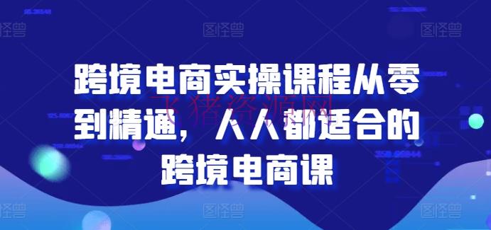 【电商运营】跨境电商实操课程从零到通晓，人人都合适的跨境电商课 - 跨境电商 - 电商运营-飞猪资源网