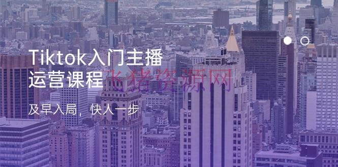 【跨境电商】Tiktok入门主播运营课程，及早入局，快人一步（11节） - 跨境电商 - tiktok-飞猪资源网