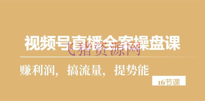 【网赚项目】视频号直播实操攻略：从零到一，打造高赢利直播间（16节课） - 网赚项目 - 网赚项目, 视频号, 视频号直播-飞猪资源网