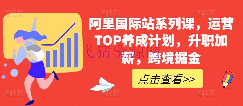【跨境电商】阿里世界站系列课，运营TOP养成方案，升职加薪，跨境掘金 - 跨境电商 飞猪资源网-飞猪资源网