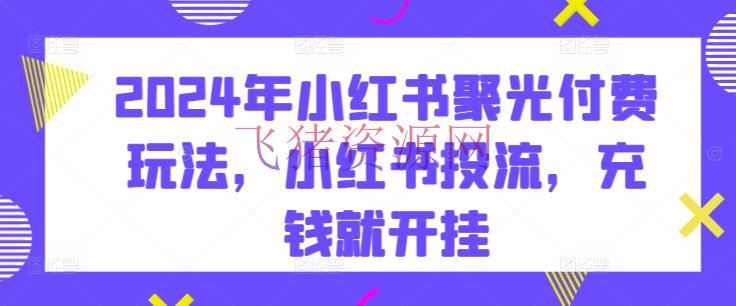 【网赚项目】2024小红书投流：聚光付费攻略，解锁流量变现新姿态 - 网赚项目 - 小红书, 网赚项目-飞猪资源网