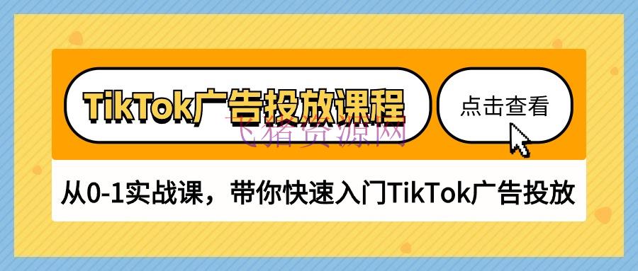 TikTok广告投进课程，从0-1实战课，带你快速入门TikTok广告投进（30节课） - 跨境电商 --飞猪资源网