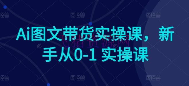 【AI变现】AI赋能电商：新手快速上手图文带货实操课程 - 网赚项目 - AI变现, 图文带货-飞猪资源网