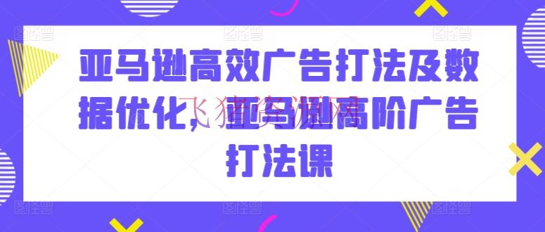 【跨境电商】亚马逊高效广告打法及数据优化，亚马逊高阶广告打法课 - 跨境电商 - 亚马逊-飞猪资源网