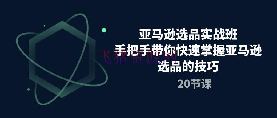 【跨境电商】亚马逊选品实战课程，手把手带你快速轻松发掘爆款产品（20节课） - 跨境电商 飞猪资源网-飞猪资源网