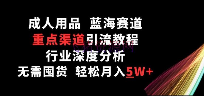 【网赚项目】蓝海成人用品赛道，要点途径引流教程，职业深度剖析，无需囤货，轻松月入5W+【揭秘】 - 网赚项目 - 成人用品, 网赚项目-飞猪资源网