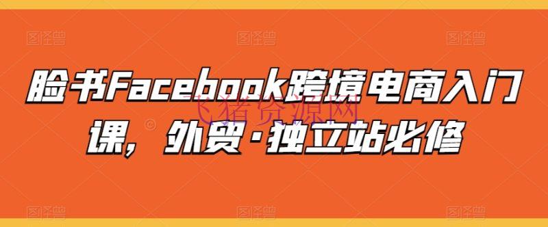 【跨境电商】脸书FACEBOOK跨境电商入门课，外贸·独立站必修 - 跨境电商 - Facebook-飞猪资源网