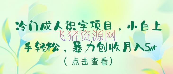 【网赚项目】冷门项目成人识字，新手小白上手轻松，暴力创收月入5W+【揭秘】 - 网赚项目 - 成人识字, 网赚项目-飞猪资源网