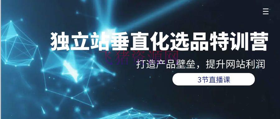 【跨境电商】独立网站笔直化选品训练营，打造产品壁垒，提高网站赢利（3节直播课） - 跨境电商 - 独立站-飞猪资源网