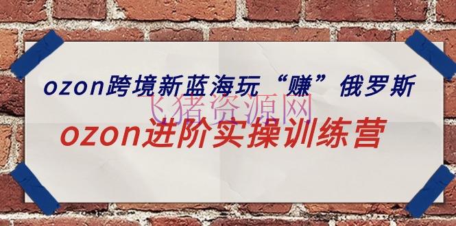 【跨境电商】ozon跨境新蓝海玩“赚”俄罗斯，ozon进阶实操训练营 - 跨境电商 - ozon运营, 俄罗斯OZON-飞猪资源网