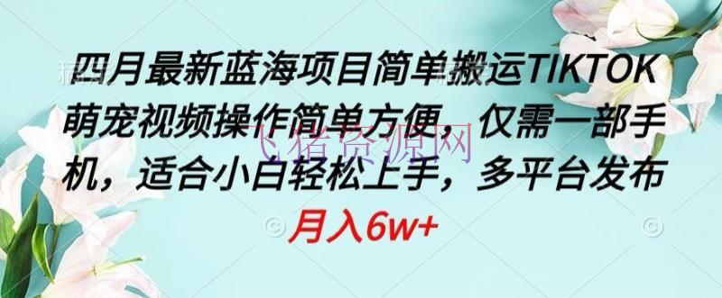 【网赚项目】2024蓝海项目，简略转移TIKTOK萌宠视频，操作简略便利，仅需一部手机【揭秘】 - 网赚项目 - 搬运TIKTOK, 网赚项目, 萌宠视频-飞猪资源网