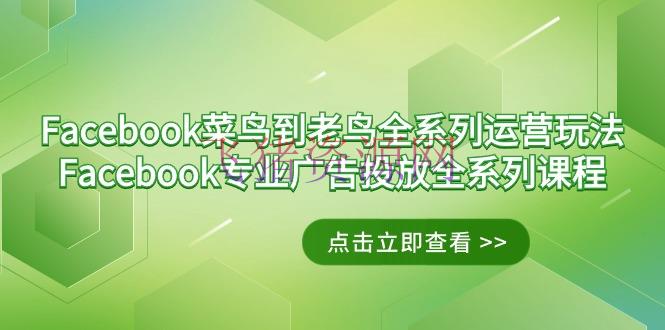 【跨境电商】Facebook-菜鸟到老鸟全系列运营玩法+Facebook-专业广告投进全系列课程 - 跨境电商 - Facebook, 电商运营-飞猪资源网