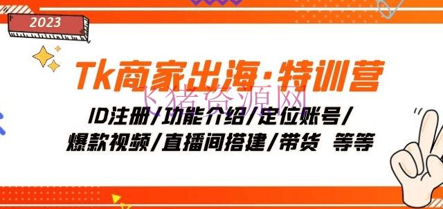 Tiktok商家出海·特训营：ID注册/功用介绍/定位账号/爆款视频/直播间建立/带货 - 跨境电商 - tiktok, 海外抖音-飞猪资源网