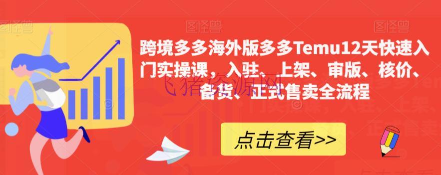 【跨境电商】跨境多多海外版多多TEMU12天快速入门实操课，轻松把握全流程，成果跨境电商之路！ - 跨境电商 - 多多TEMU, 多多海外版-飞猪资源网