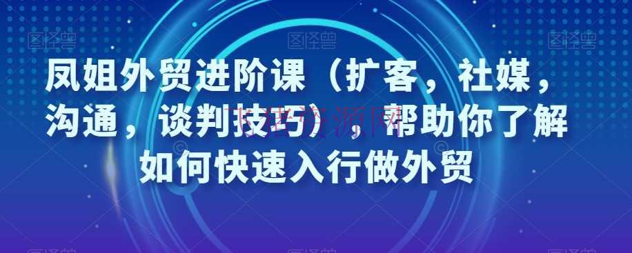 【跨境电商】凤姐外贸进阶课（扩客，社媒，交流，商洽技巧），协助你了解怎么快速入行做外贸 - 跨境电商 - 境外电商, 外贸, 电商运营-飞猪资源网