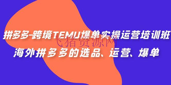 拼多多-跨境TEMU爆单实操运营培训班，海外拼多多的选品、运营、爆单 - 跨境电商 - 拼多多, 跨境TEMU-飞猪资源网