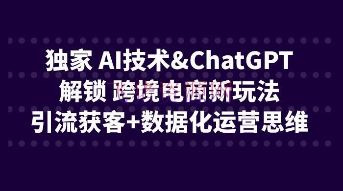 【AI】独家 AI 技能 ChatGPT 解锁跨境电商新玩法：引流获客 + 数据化运营思想 - 跨境电商 - AI智能-飞猪资源网