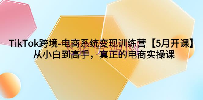 TikTok电商跨境变实际操课程，从小白到高手一步建立自己的电商帝国 - 跨境电商 - shopify, tiktok, 电商运营-飞猪资源网