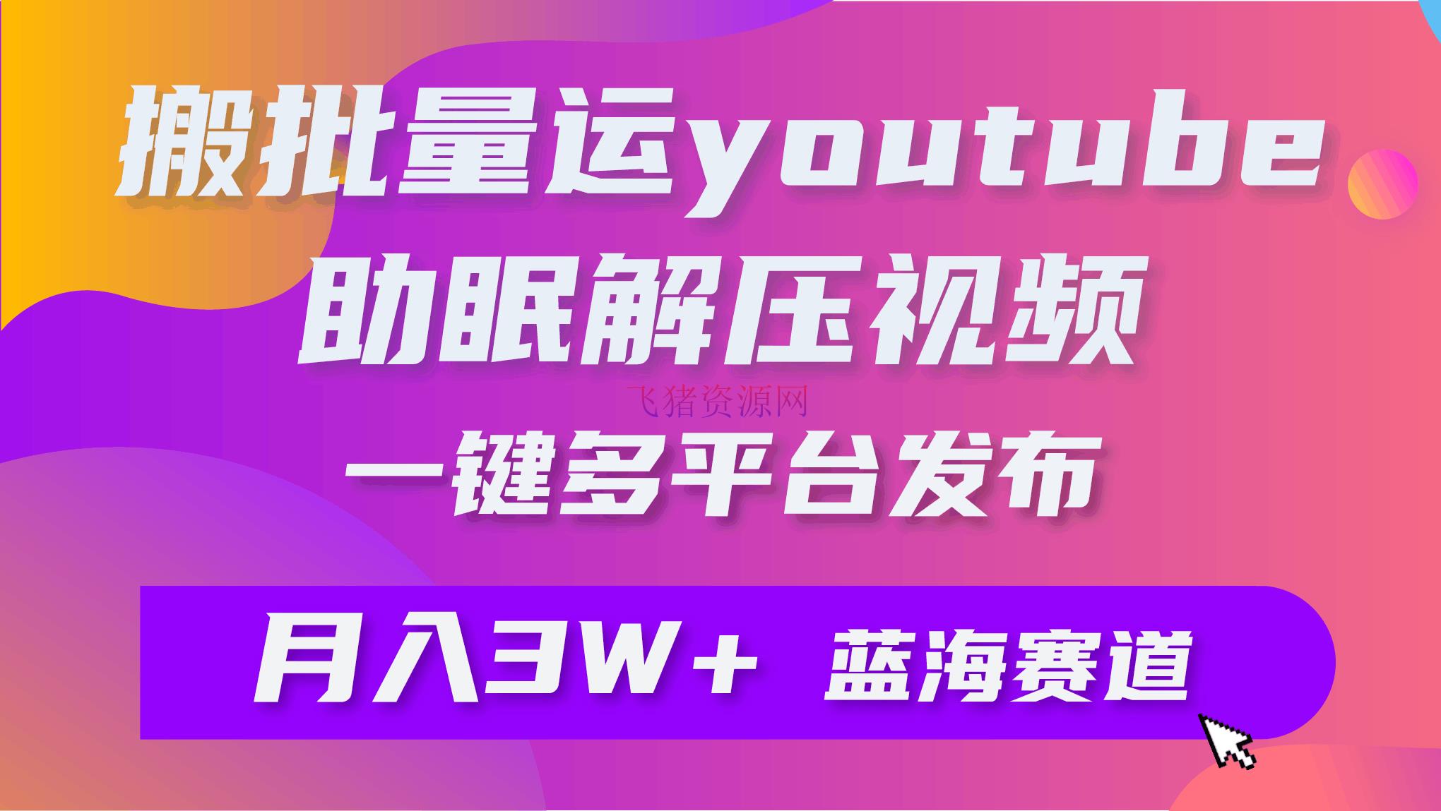 【网赚项目】批量转移YouTube解压助眠视频 一键多渠道发布 月入2W+ - 网赚项目 - youtube, 搬运项目, 网赚项目-飞猪资源网