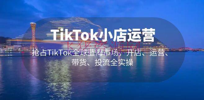 【境外电商】TikTok小店运营 抢占TikTok全球蓝海商场，开店、运营、带货、投流全实操 - 跨境电商 --飞猪资源网