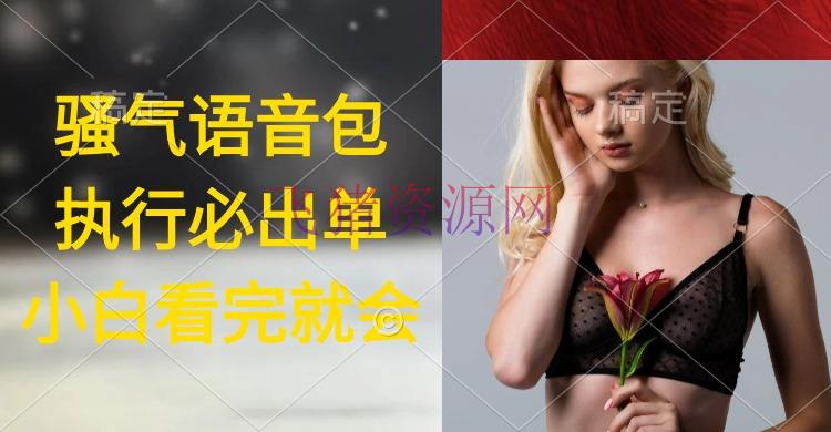 【网赚项目】履行就出单，日入2000+，超火骚气语音包，小白看完课程就能立刻实操 - 网赚项目 - 网赚项目, 骚气语音包-飞猪资源网
