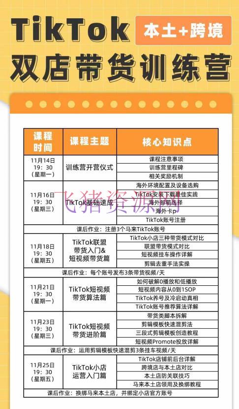 TikTok Shop本乡+跨境第16期，双店带货训练营，出海抢占全球新流量，一店卖全球 - 跨境电商 - Shop, tiktok, TikTok电商, TikTok运营, 电商运营-飞猪资源网