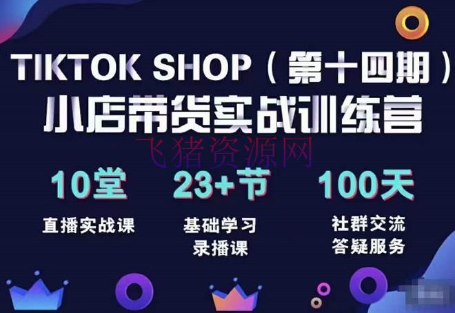 TikTokShop全球店带货训练营（14期）翻开全球流量新思维，出海抢占全球新流量，一店卖全球 - 跨境电商 - Shop, tiktok, TikTok运营, 境外电商, 短视频带货-飞猪资源网