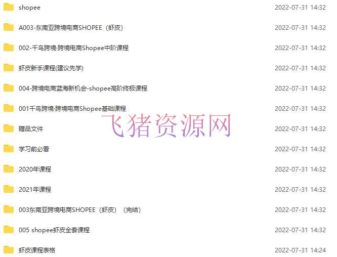 shopee运营教程：从入门根底到高档通晓，开店到日出100单（全套课程）