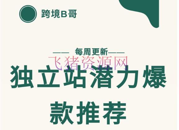 【跨境电商】独立站潜力爆款选品引荐，测款出单率高达百分之80（每周更新） - 跨境电商 - 境外电商, 境外电商培训, 独立站运营, 电商培训, 电商运营, 电商选品-飞猪资源网