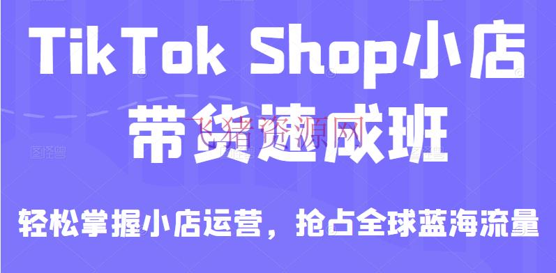 [跨境电商] TikTok Shop小店带货速成班，轻松把握小店运营，抢占全球蓝海流量 - 跨境电商 飞猪资源网-飞猪资源网