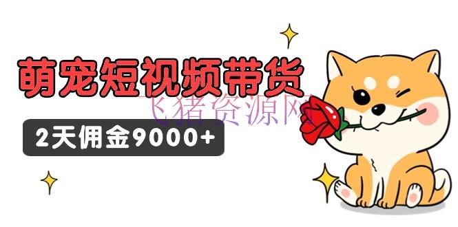 【网赚项目】东哲日记·萌宠短视频带货，2天佣钱9000+ - 网赚项目 - 网赚项目, 萌宠短视频带货-飞猪资源网