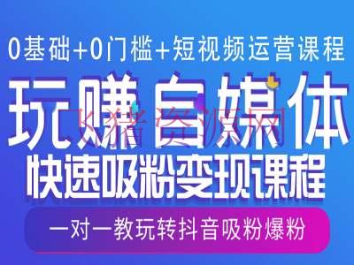 0根底+0门槛+短视频运营课程，玩赚自媒体快速吸粉变现课程，1对1教玩转抖音吸粉爆粉 - 资源课程下载 - 网创项目-飞猪资源网