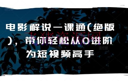 【网赚项目】电影说明一课通(绝版)，带你轻松从0进阶为短视频高手 - 资源课程下载 - 电影解说, 网创项目, 网赚项目-飞猪资源网