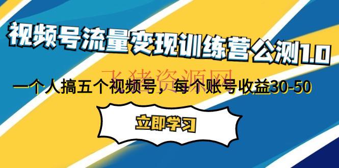 【网赚项目】视频号流量变现公测1.0：走进你的小副业，一人把握五个视频号，每个账号收益30-50 - 网赚项目 - 网赚项目, 视频号变现-飞猪资源网