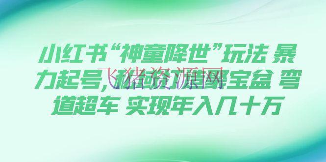 【网赚项目】小红书“神童降世”玩法 暴力起号,私域打造聚宝盆 弯道超车 实现年入几十万 - 网赚项目 - 小红书, 网赚项目-飞猪资源网