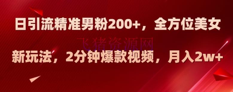 【网赚项目】新玩法日引流精准男粉200 ，全方位美人新玩法，2分钟爆款视频，月入2W 【揭秘】 - 网赚项目 - 吸粉引流, 网赚项目, 项目揭秘-飞猪资源网