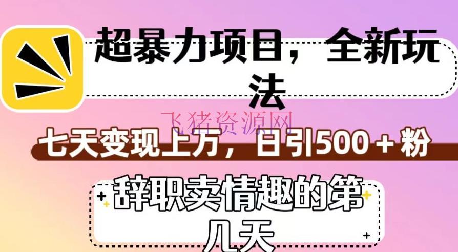 【网赚项目】超暴利项目，全新玩法（辞去职务卖情味的第几天），七天变现上万，日引500+粉【揭秘】 - 网赚项目 - 短视频, 网赚项目-飞猪资源网