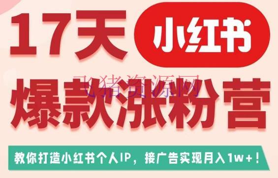 17天小红书爆款涨粉营（广告变现方向），教你打造小红书博主IP、接广告变现的 - 网赚项目 - 小红书, 小红书运营, 引流变现, 自媒体运营-飞猪资源网
