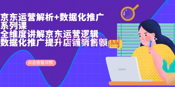 京东运营解析与数据化推行系列课，全维度解说京东运营逻辑+数据化推行提 - 网赚项目 - 京东运营, 电商运营-飞猪资源网