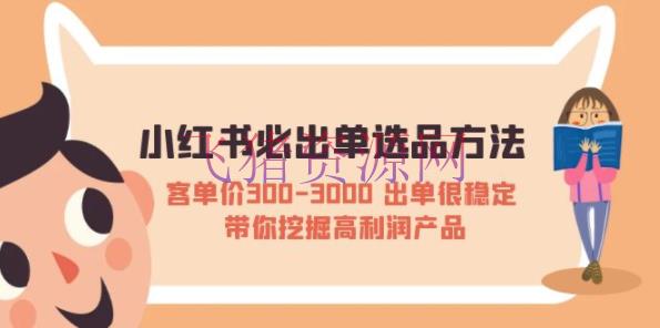 【小红书运营】小红书必出单选品办法：客单价300-3000 出单很安稳 带你发掘高赢利产品 - 网赚项目 --飞猪资源网