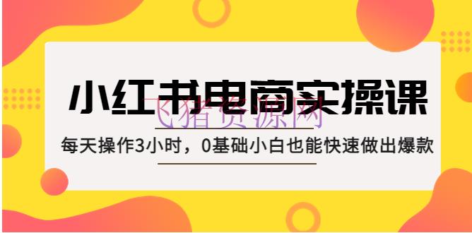 【小红书运营】小红书·电商实操课：每天操作3小时，0根底小白也能快速做出爆款！ - 网赚项目 --飞猪资源网