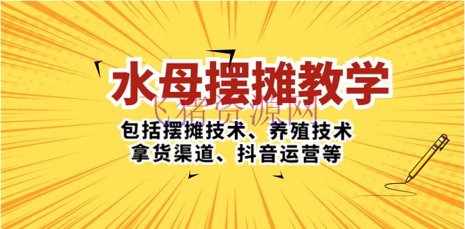 【网赚项目】水母·摆摊教育，包含摆摊技能、饲养技能、拿货途径、抖音运营等 - 网赚项目 --飞猪资源网
