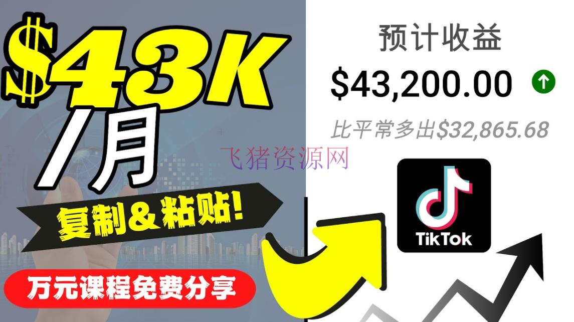 【网赚项目】2022抖音国际版Tiktok挣钱项目：每天上传一个视频就轻松月入$43200 - 网赚项目 - Tiktok赚钱项目, TikTok运营, 抖音国际版, 抖音运营, 短视频运营, 网赚项目-飞猪资源网