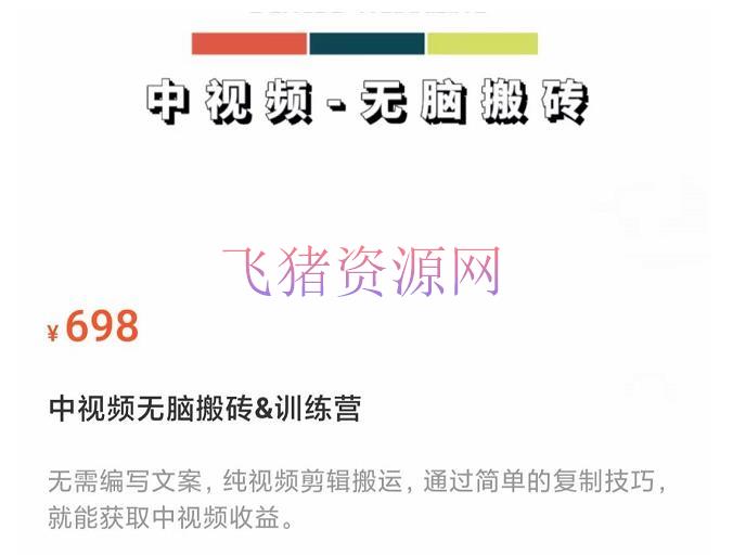 图片[2]-中视频无脑搬砖训练营：无需写案牍，纯视频编排转移，就能获取收益！-阿灿说钱